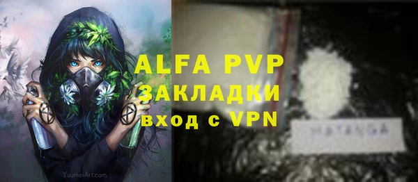 гашик Иннополис