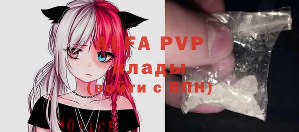 хмурый Инта