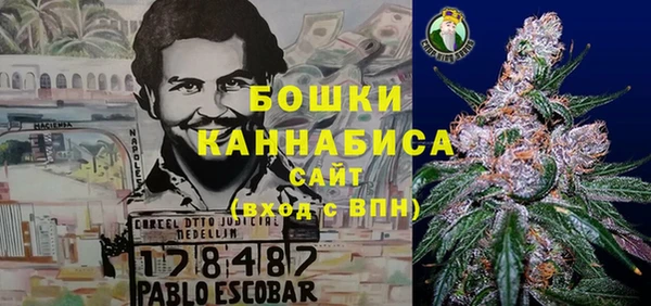 метадон Инсар