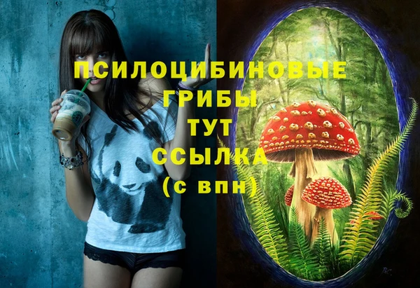 марихуана Каменногорск