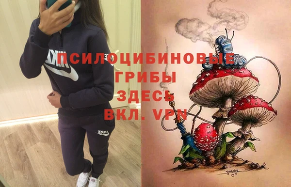 mix Каменка