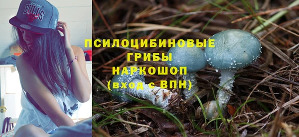 mix Каменка