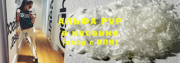 гашик Иннополис