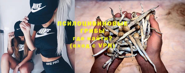 хмурый Инта
