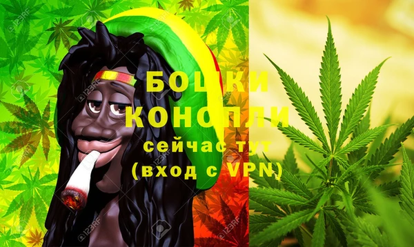 хмурый Инта