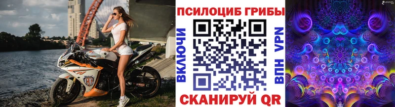 гидра зеркало  наркотики  Чебаркуль  Псилоцибиновые грибы мицелий 